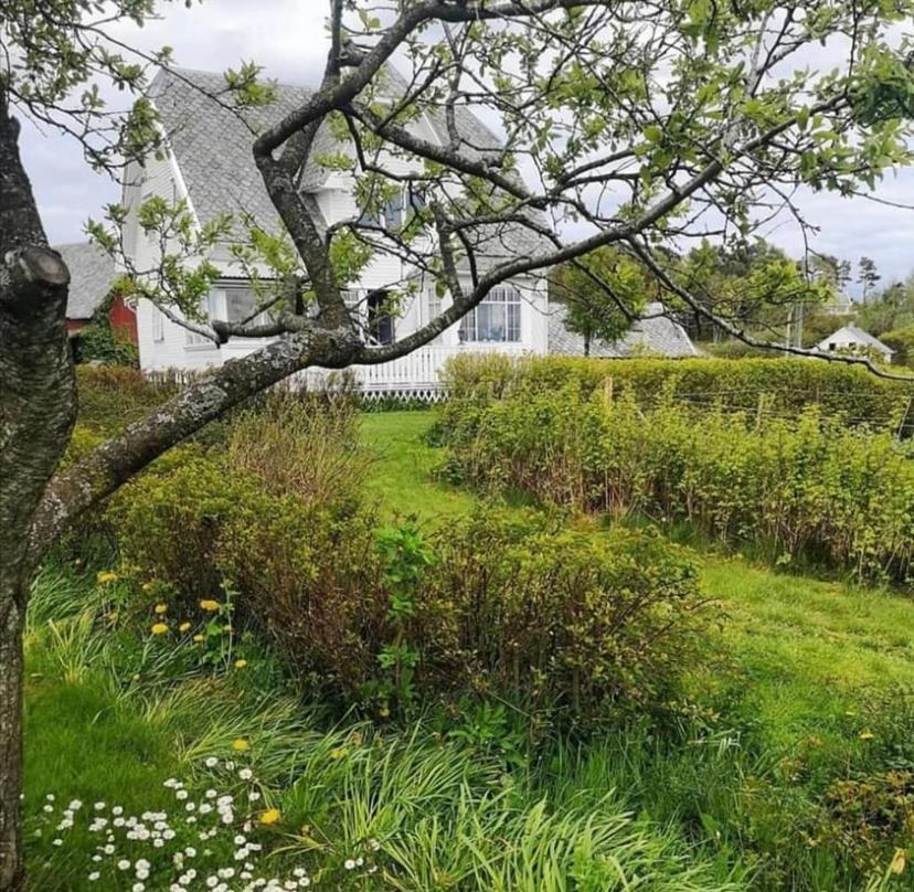 Shared Farmhouse สตาวังเงร์ ภายนอก รูปภาพ